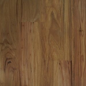 TAS Oak