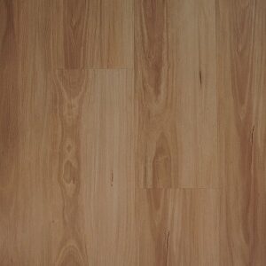Classic Blackbutt