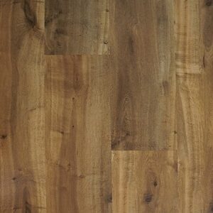 Blackbutt
