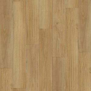 Native Blackbutt