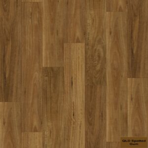 QLD Spotted Gum