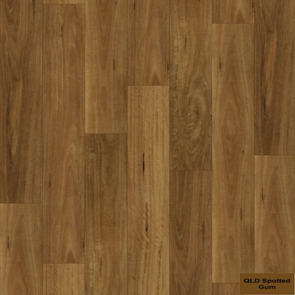 QLD Spotted Gum