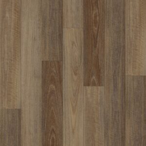 Wild Spotted Gum